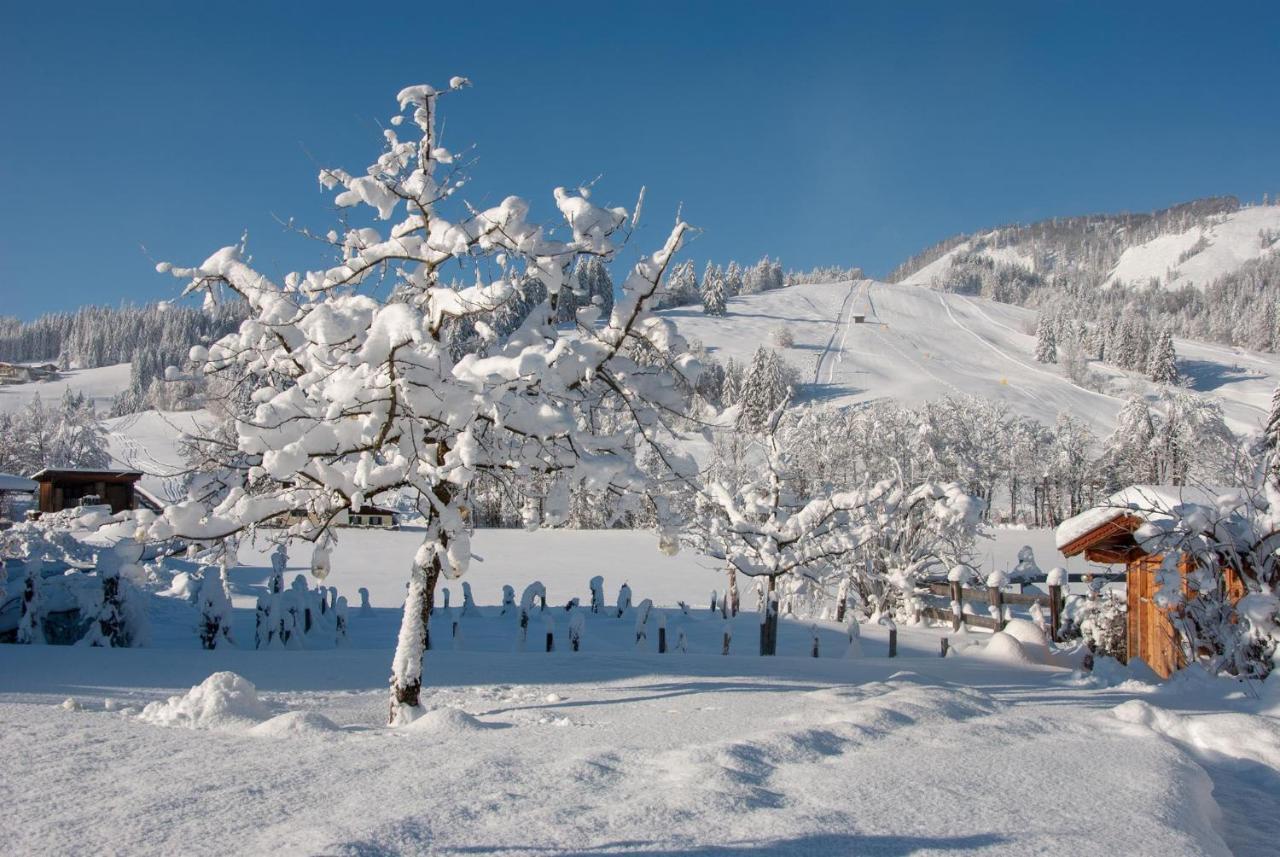 Das Glaagut - Familie Hain Hochfilzen Bagian luar foto